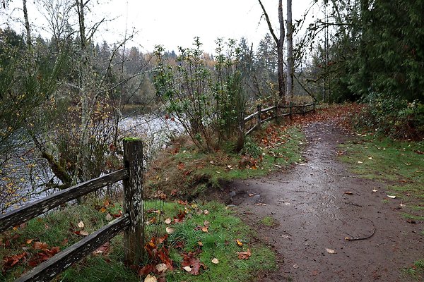  Milo - Creek Confluence