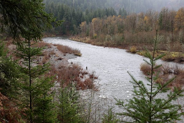  Oxbow - Alder Group Area