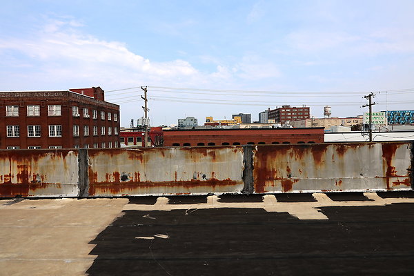 GreenRoof 46