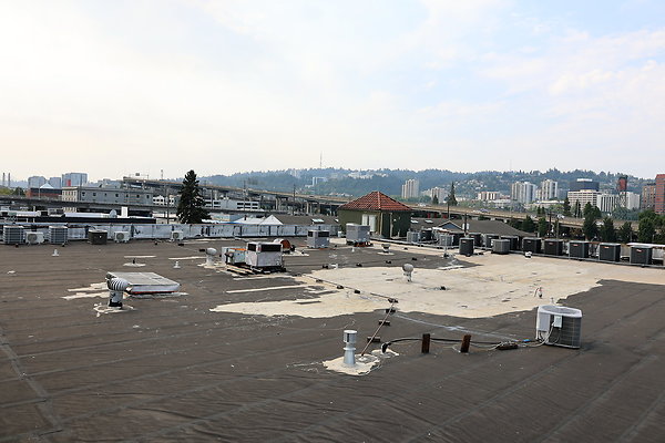GreenRoof 38