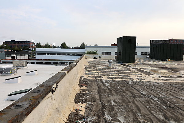 GreenRoof 37