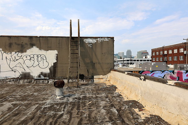 GreenRoof 53