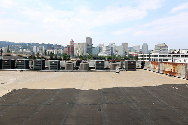 GreenRoof 42