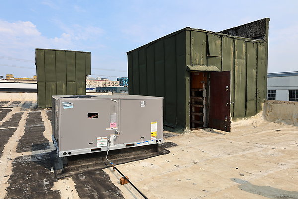 GreenRoof 31