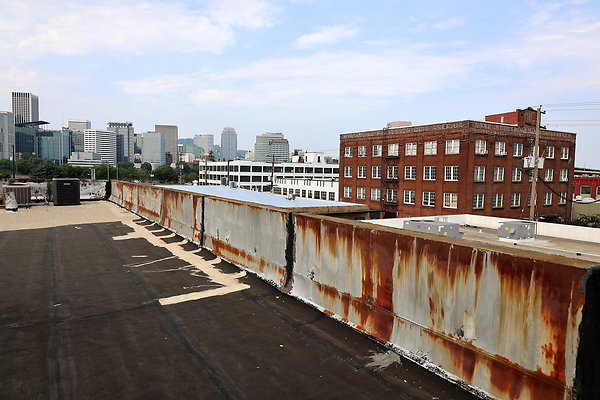 GreenRoof 41