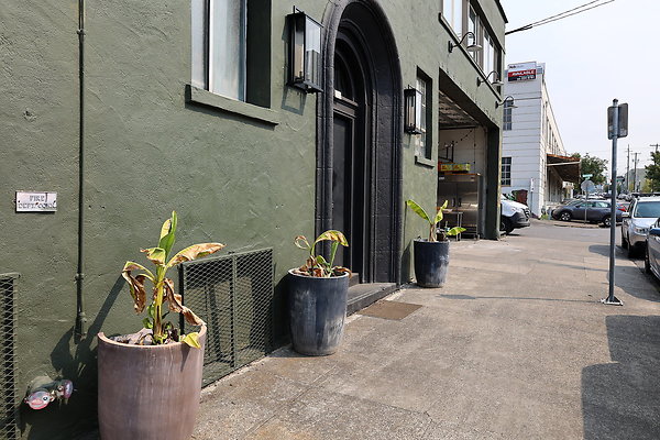 GreenRoof 20