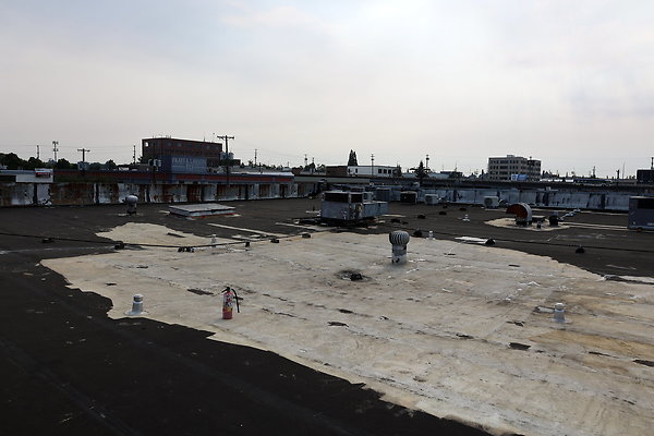 GreenRoof 49