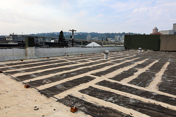 GreenRoof 55