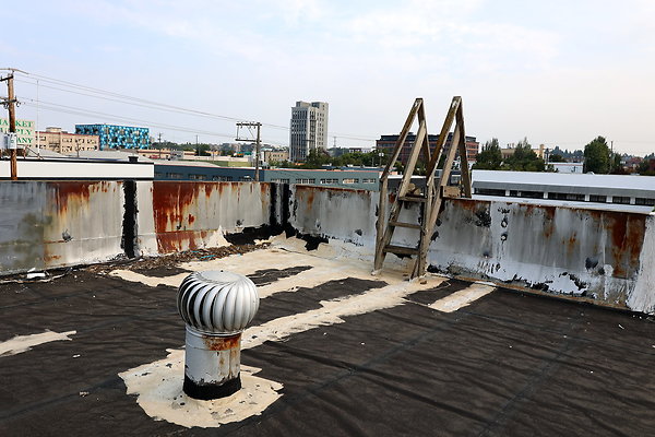 GreenRoof 51