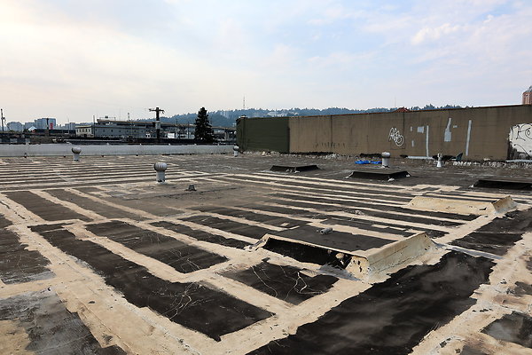 GreenRoof 35