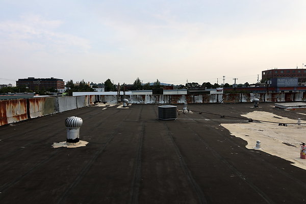 GreenRoof 48