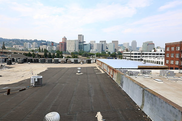 GreenRoof 39