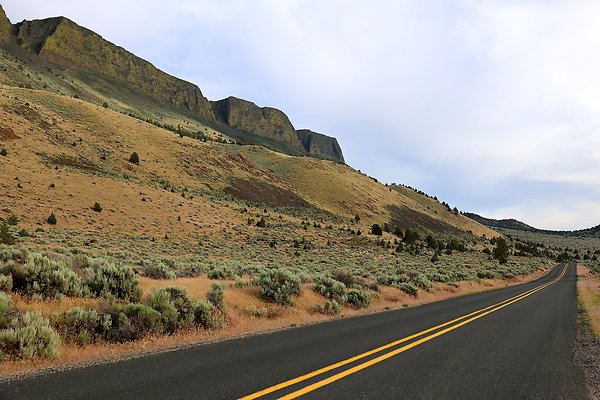 IMG 0891