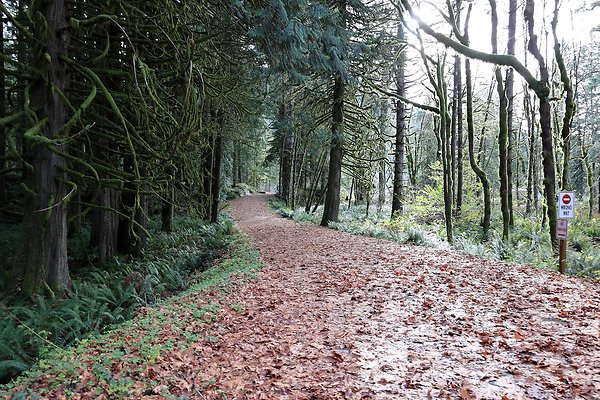 Yale - Cougar Park No Drone, No Digging, No riverbed disturbance