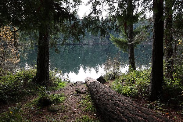 Timber Park - Boat Ramp across from Estacada Lake